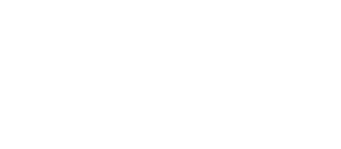 Airisana_Logo_WHT-01