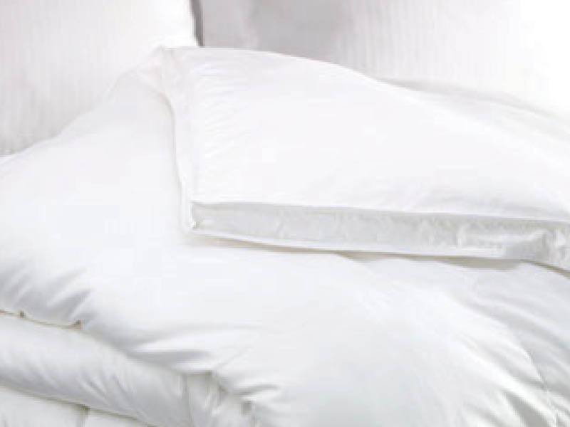 Encompass feather and clearance down pillow